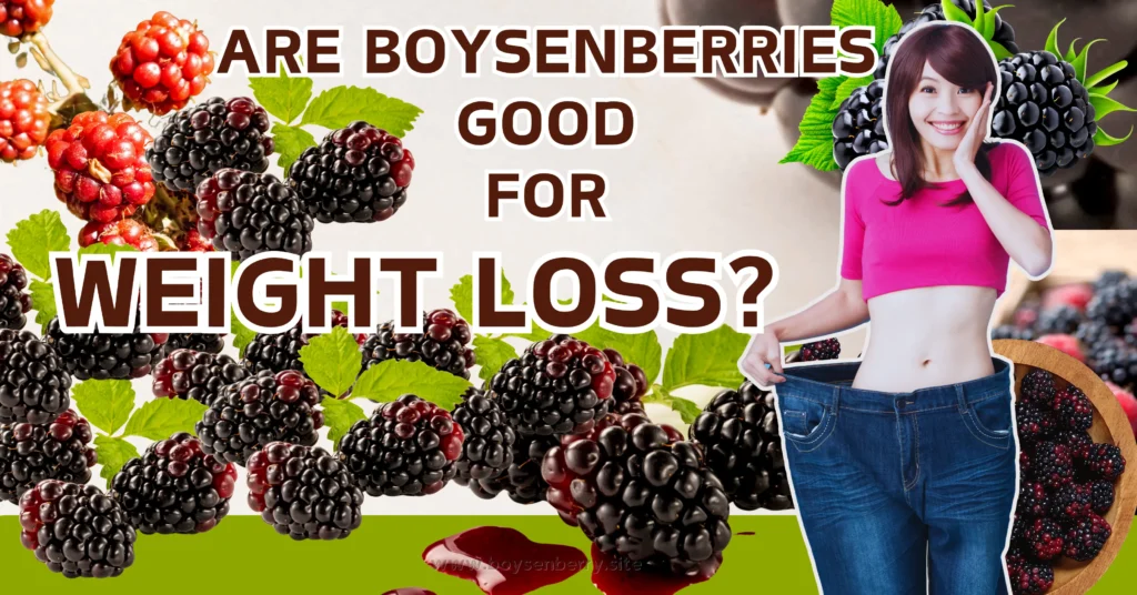 Are Boysenberries Good for Weight Loss